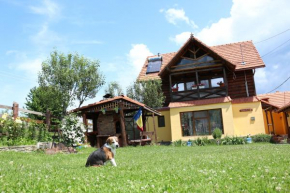 Râu Bărbat